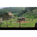 ECO ELEPHANT CARE FULL DAY